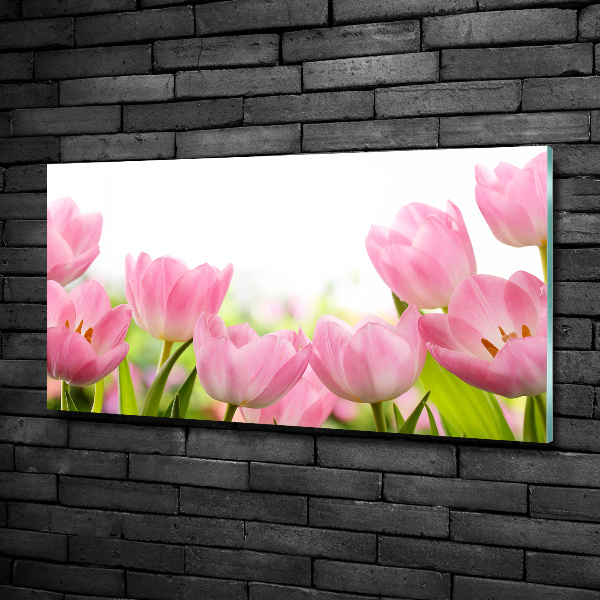 Glazen schilderij Roze tulpen