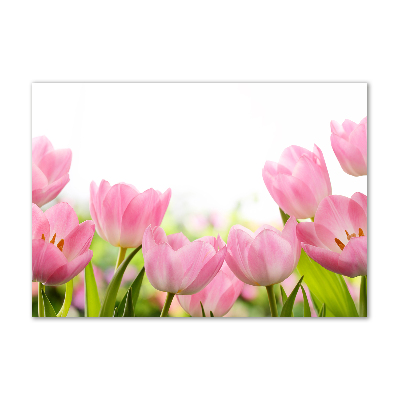 Glazen schilderij Roze tulpen
