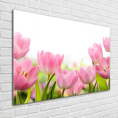 Glazen schilderij Roze tulpen