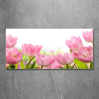 Glazen schilderij Roze tulpen