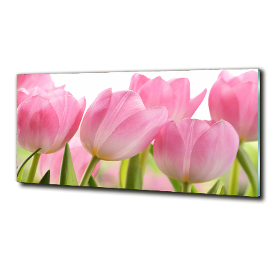 Foto schilderij op glas Roze tulpen