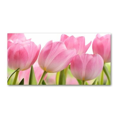 Foto schilderij op glas Roze tulpen