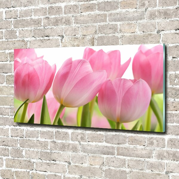 Foto schilderij op glas Roze tulpen