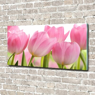 Foto schilderij op glas Roze tulpen