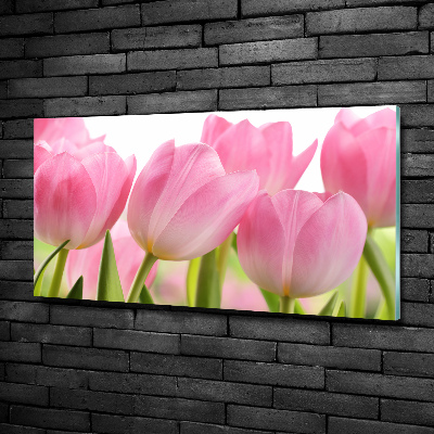 Foto schilderij op glas Roze tulpen