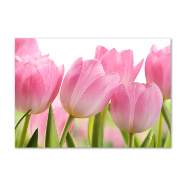 Foto schilderij op glas Roze tulpen