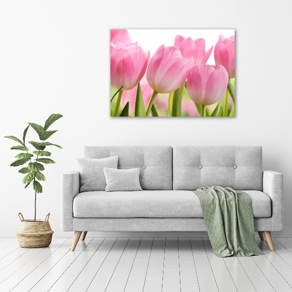 Foto schilderij op glas Roze tulpen
