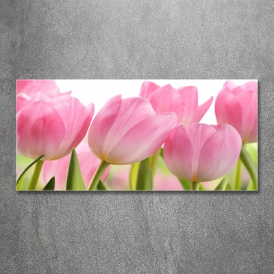 Foto schilderij op glas Roze tulpen