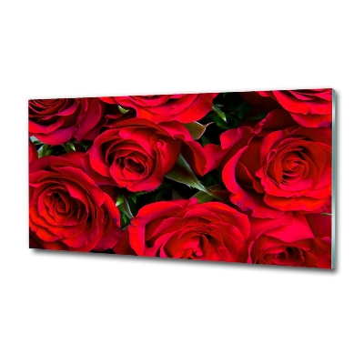 Foto obraz szkło hartowane Czerwone róże
