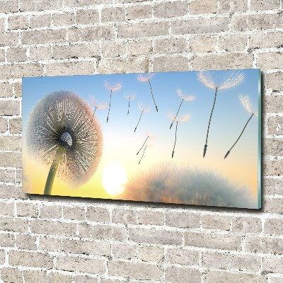 Foto schilderij op glas Paardebloem