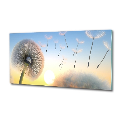 Foto schilderij op glas Paardebloem