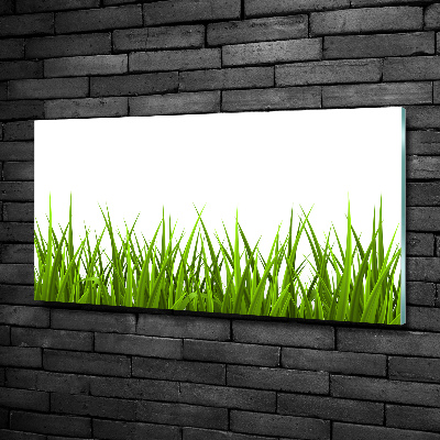 Glazen schilderij Gras