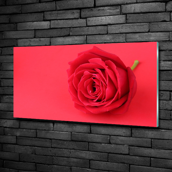 Schilderij glas Rode roos