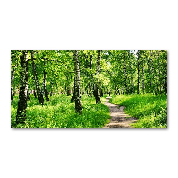 Schilderij glas Berkenbos