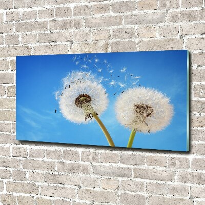 Schilderij op glas Paardenbloemen