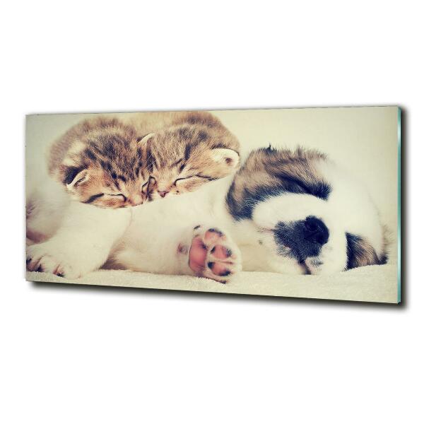 Schilderij glas Twee katten en een hond