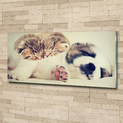 Schilderij glas Twee katten en een hond
