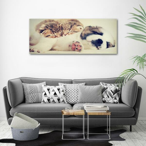 Schilderij glas Twee katten en een hond