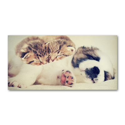 Schilderij glas Twee katten en een hond