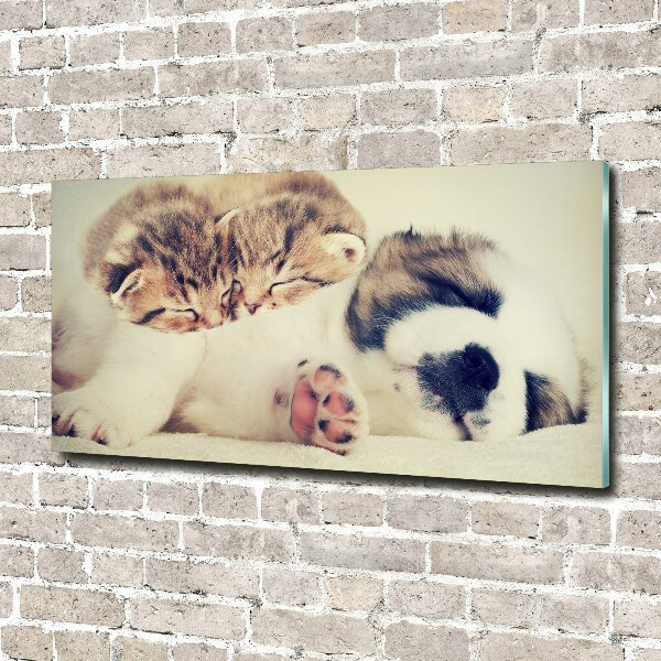 Schilderij glas Twee katten en een hond