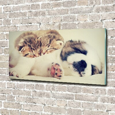 Schilderij glas Twee katten en een hond