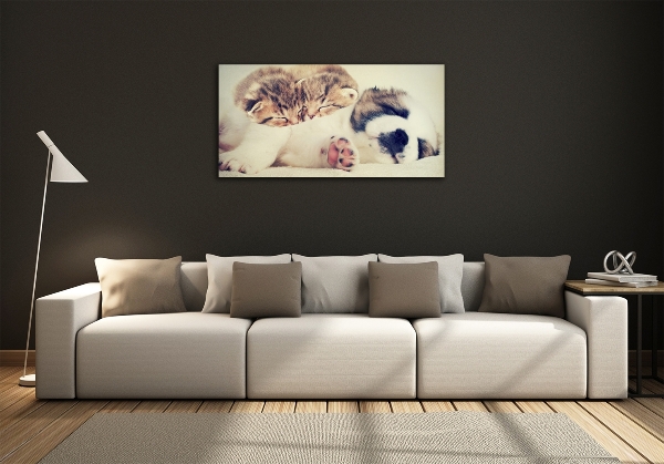 Schilderij glas Twee katten en een hond