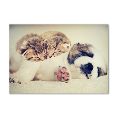 Schilderij glas Twee katten en een hond