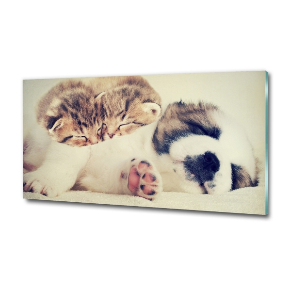 Schilderij glas Twee katten en een hond