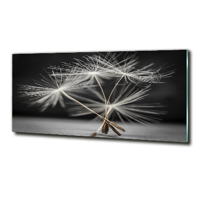 Foto schilderij op glas Paardenbloemzaden