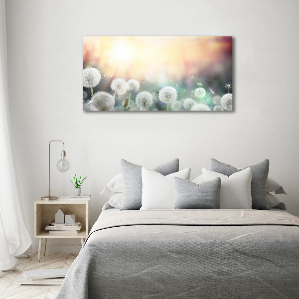 Foto schilderij op glas Paardenbloemenveld