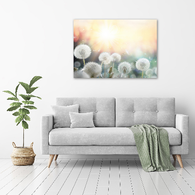 Foto schilderij op glas Paardenbloemenveld