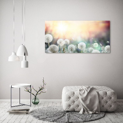 Foto schilderij op glas Paardenbloemenveld