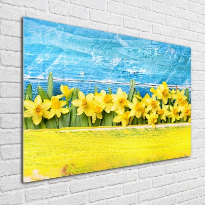 Schilderij op glas Narcissen