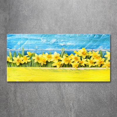 Schilderij op glas Narcissen