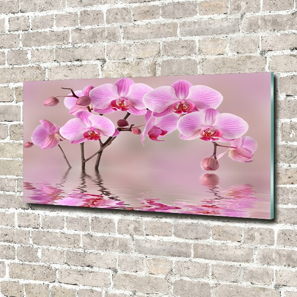 Schilderij glas Roze orchidee