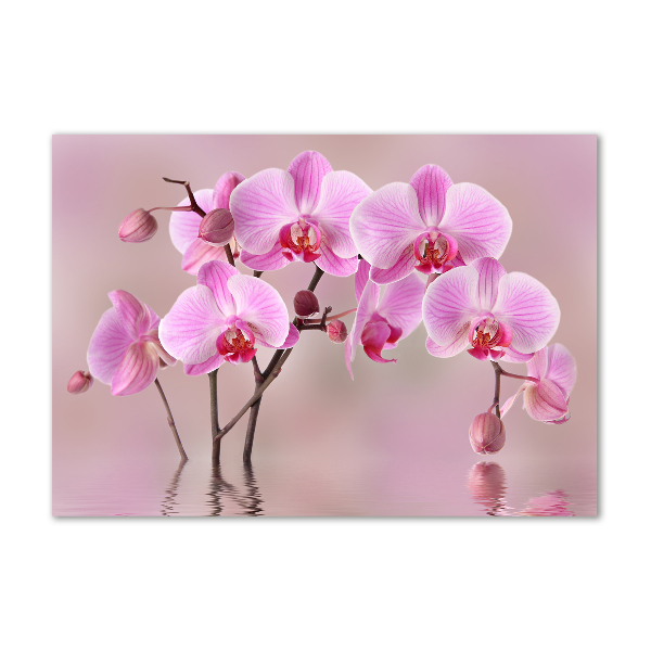 Schilderij glas Roze orchidee