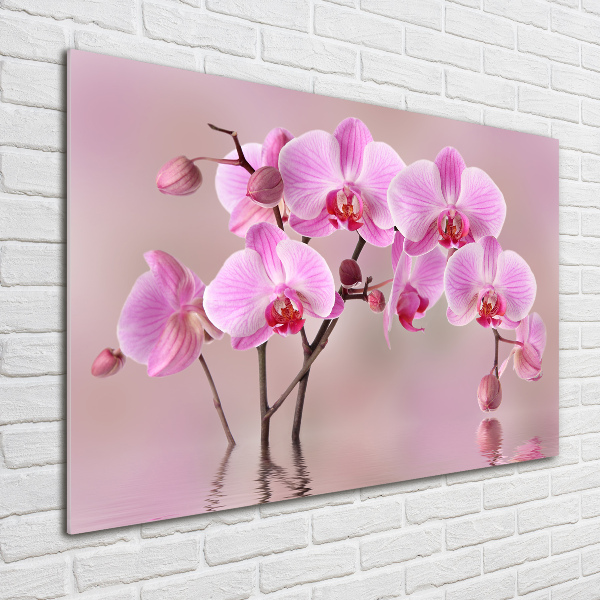 Schilderij glas Roze orchidee