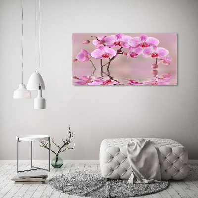 Schilderij glas Roze orchidee