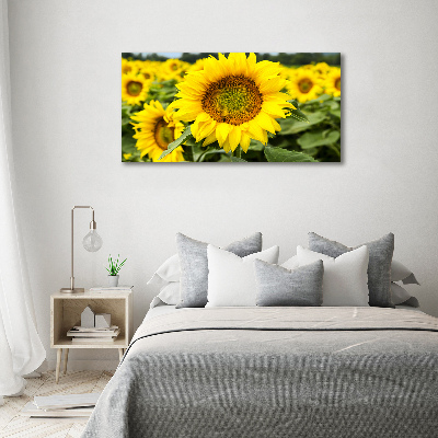 Glazen schilderij Een veld met zonnebloemen