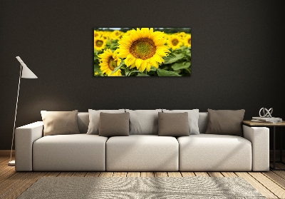 Glazen schilderij Een veld met zonnebloemen