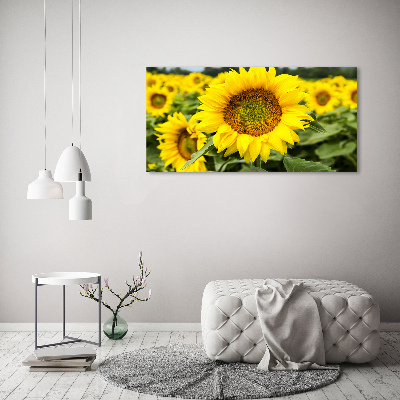 Glazen schilderij Een veld met zonnebloemen