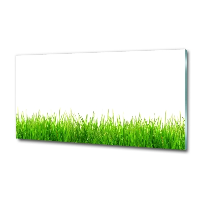 Schilderij op glas Gras