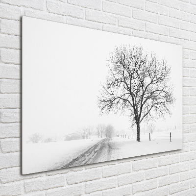 Glazen schilderij Boom in de winter