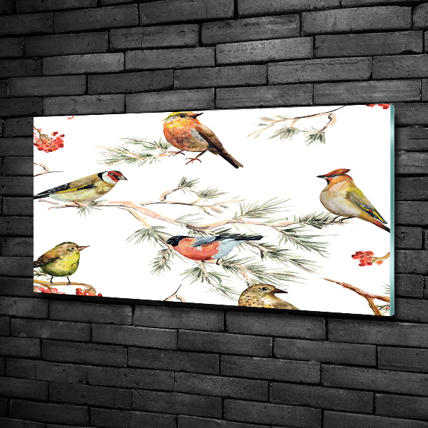 Foto-obraz szklany Leśne ptaki rośliny