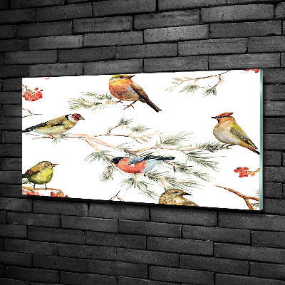 Foto-obraz szklany Leśne ptaki rośliny