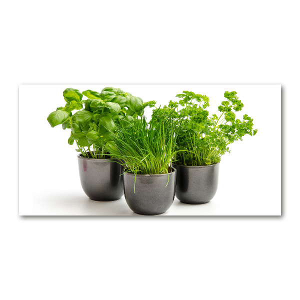Glazen schilderij Kruiden in potten
