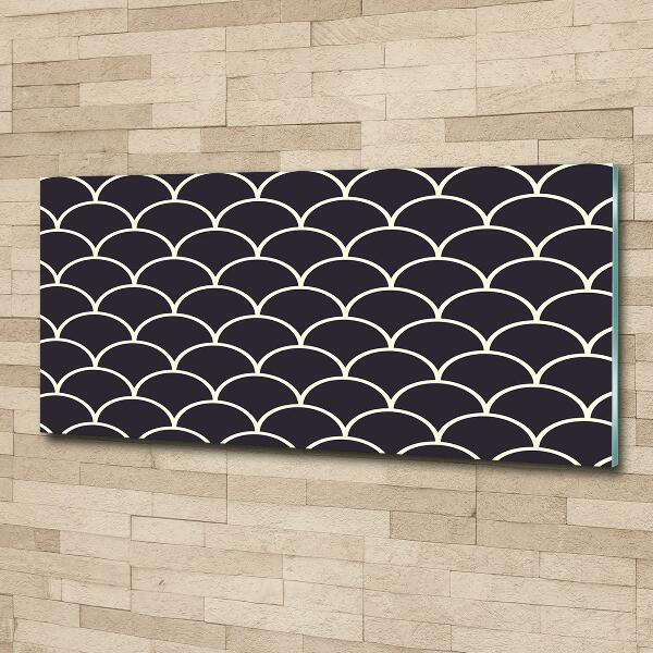 Glazen schilderij Visschubben