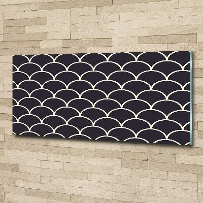 Glazen schilderij Visschubben