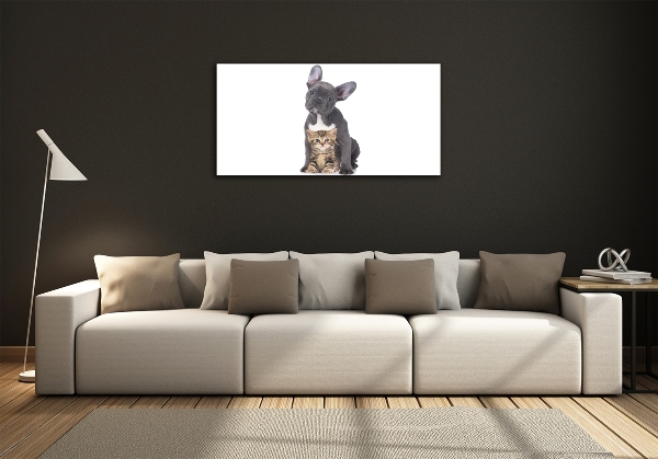 Schilderij glas Hond en kat