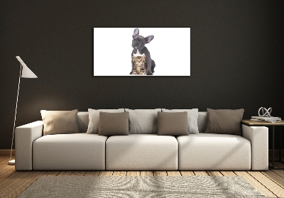 Schilderij glas Hond en kat